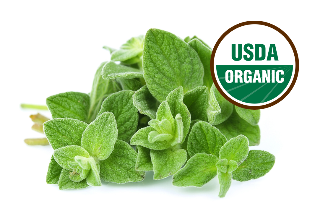 Oregano - Fresh Grown Farms LLC